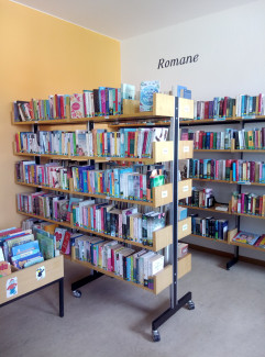 Bücherei mit Regalen und Büchern 